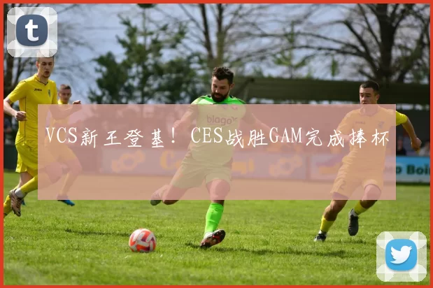 VCS新王登基！CES战胜GAM完成捧杯