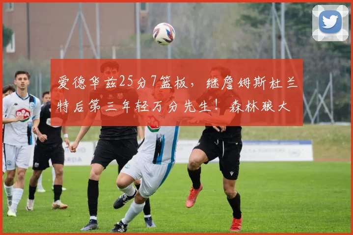 爱德华兹25分7篮板，继詹姆斯杜兰特后第三年轻万分先生！森林狼大胜骑士排第4