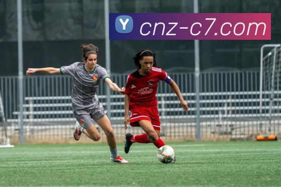 App Interface Preview